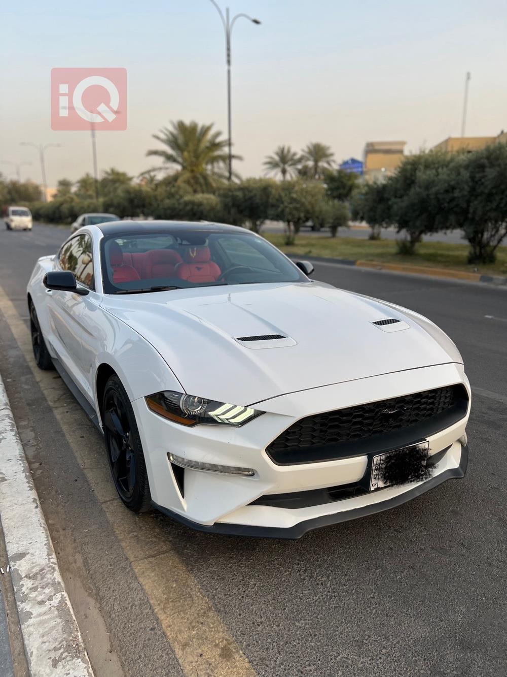 فورد موستانج